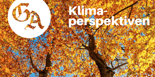 Klimaperspektiven
