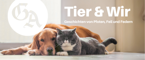 Tier & Wir - Der GA-Newsletter für Freunde von Pfoten, Fell und Federn