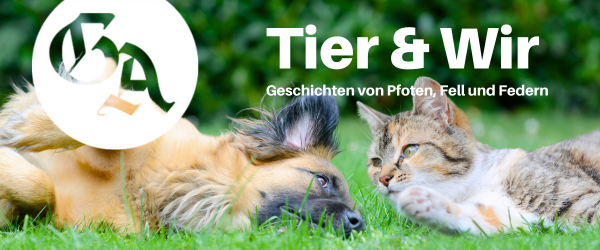 Tier & Wir - Der GA-Newsletter für Freunde von Pfoten, Fell und Federn