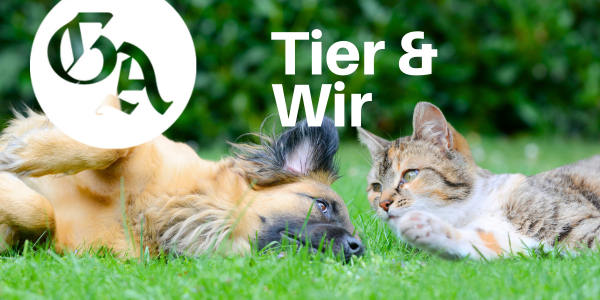 Tier & Wir - Der GA-Newsletter für Freunde von Pfoten, Fell und Federn