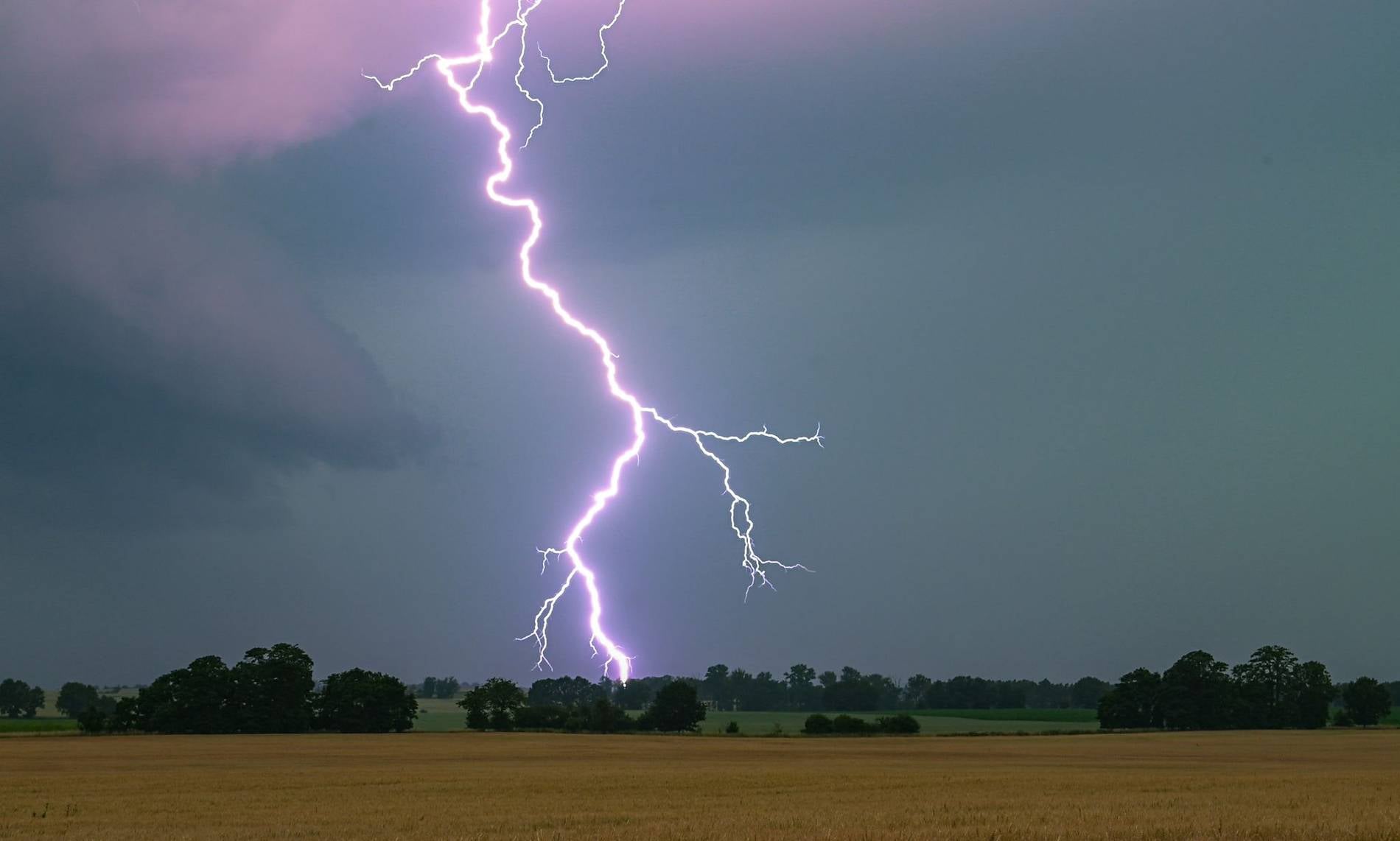 Ein Blitz zieht sich durch den Himmel &uuml;ber einer Feldlandschaft