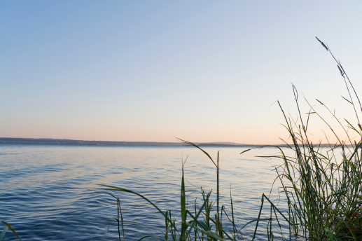 Karneval auf Madeira